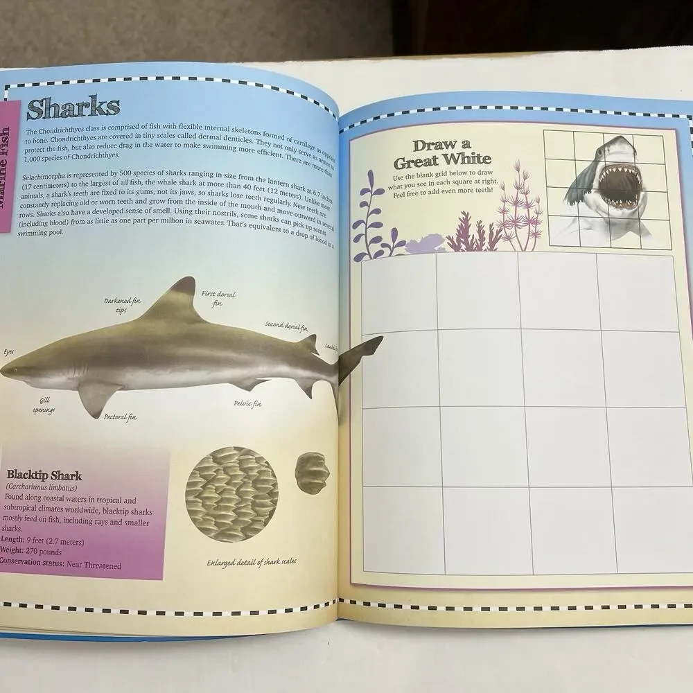 Marine Animals Encyclopedia Activity Journal Includes Stickers and Poster